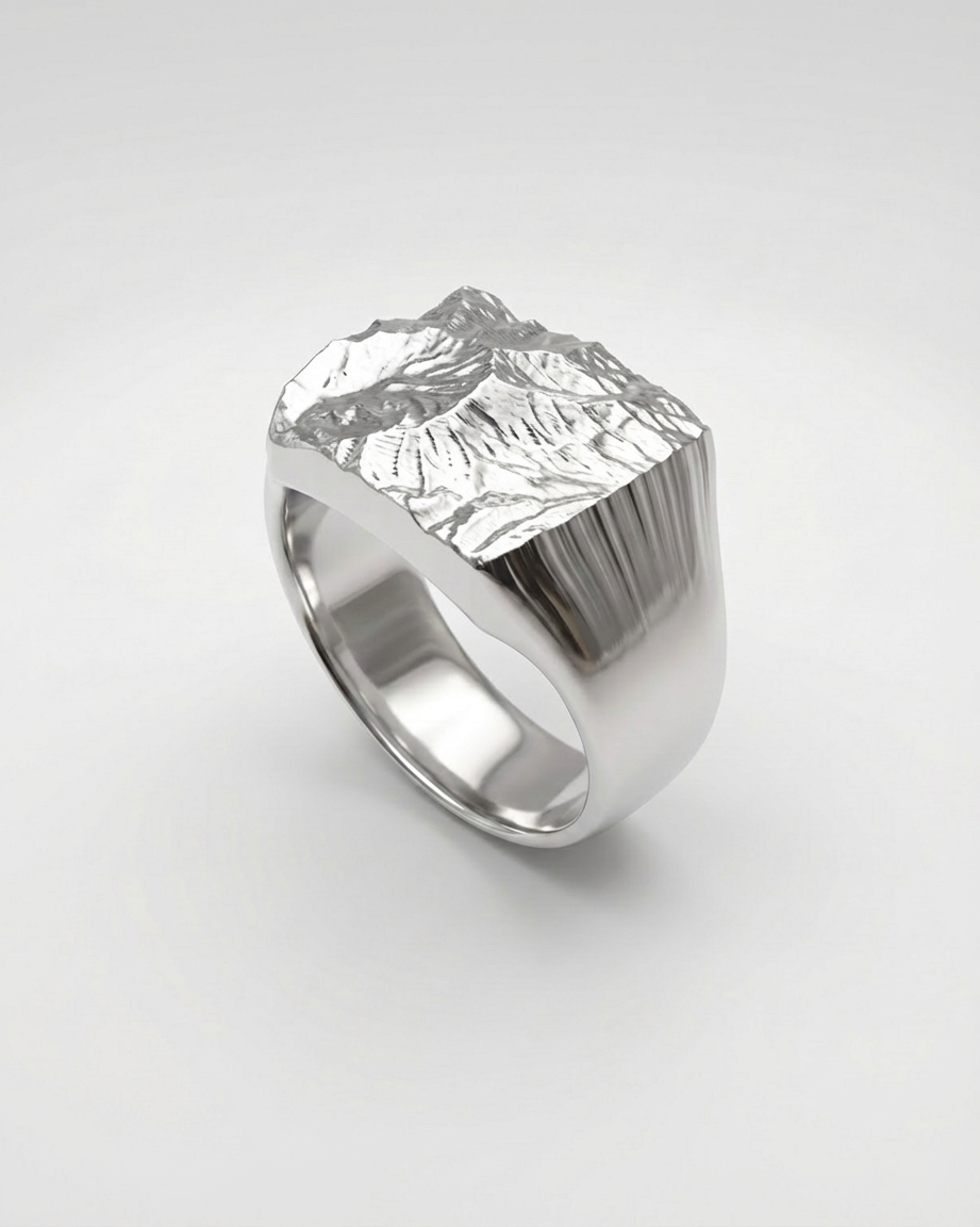 Statement Signet Ring | 925 Silver
