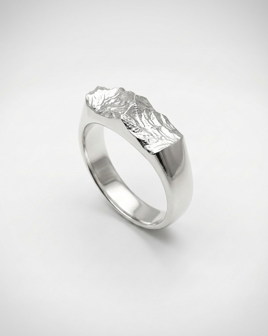 Subtle Signet Ring | 925 Silver