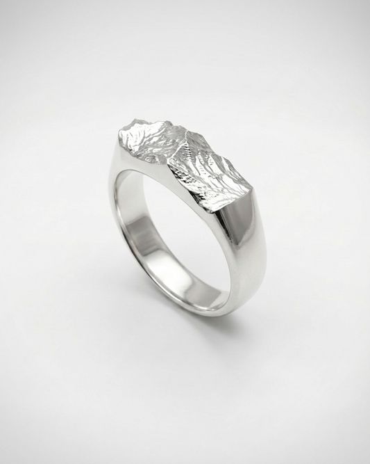 Subtle Signet Ring | 925 Silver