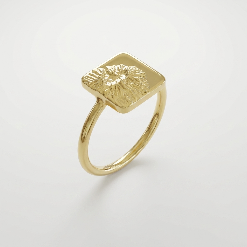 Classic Disc Ring | 9k Gold
